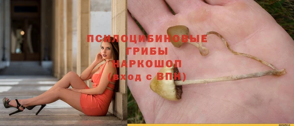 ешки Магас
