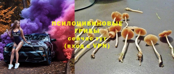 ешки Магас