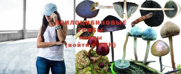 мдма Медногорск